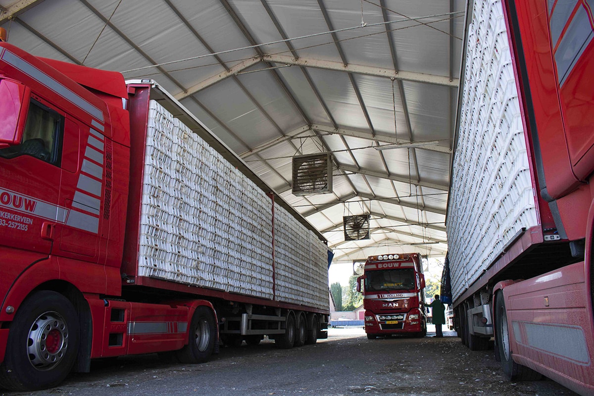 Trucks en trailers onder overkapping Remkes